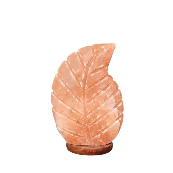 Himalayan Pink Leaf Salt Lamp