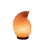USB Leaf Pink Himalayan Salt Lamp - Image 2