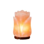 Himalayan Pink Rose Salt Lamp - Image 2