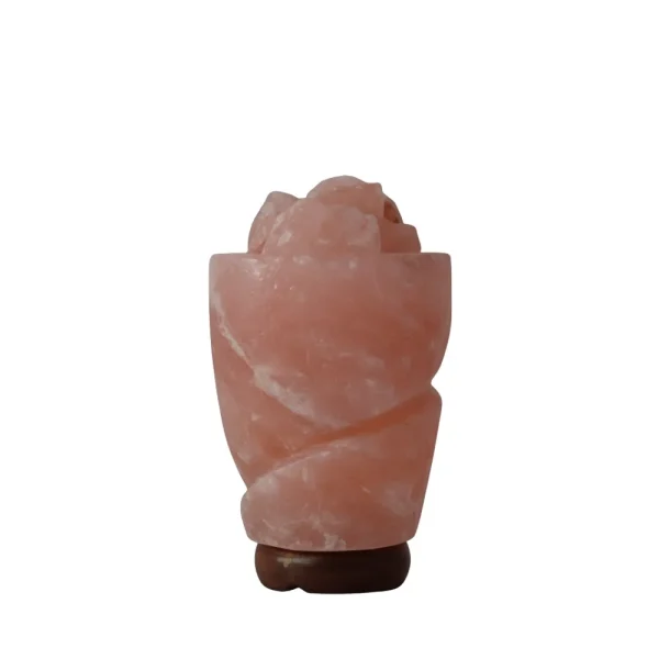Himalayan Pink Rose Petal Bowl Salt Lamp