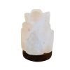 USB Flower Shaped Salt Lamp