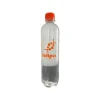Saltpur Branded Water Bottle