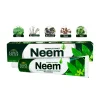 Green Valley Herbal Neem Toothpaste