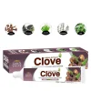 Green Valley Herbal Clove Tooth Paste