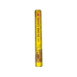 HEM Money House Incense Sticks (Casa Del Dinero)